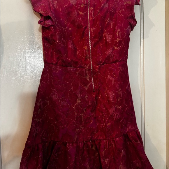 Magenta Ruffled Dress - Picture 4 of 4